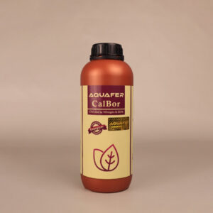 Aquafer Cal Bor
